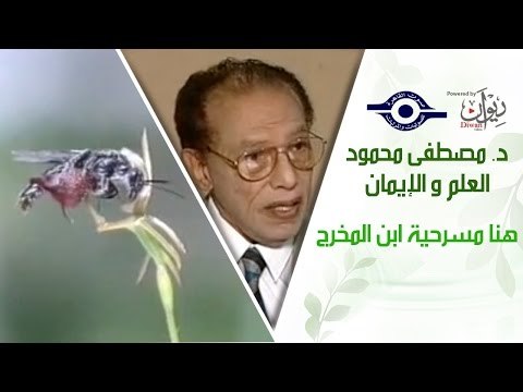 د. مصطفى محمود - العلم والإيمان - هنا مسرحية ابن المخرج