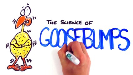 The Science of Goosebumps and Music Chills
