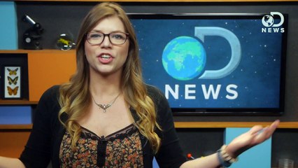 How To Flirt Better Using Science