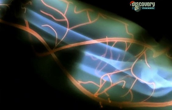 Discovery Channel Supersonic-Pushing the Envelope [Documentary] FreeHDFilms