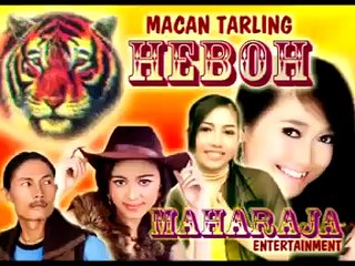 TEK TUKU TALAKE rina rivana @ lagu tarling