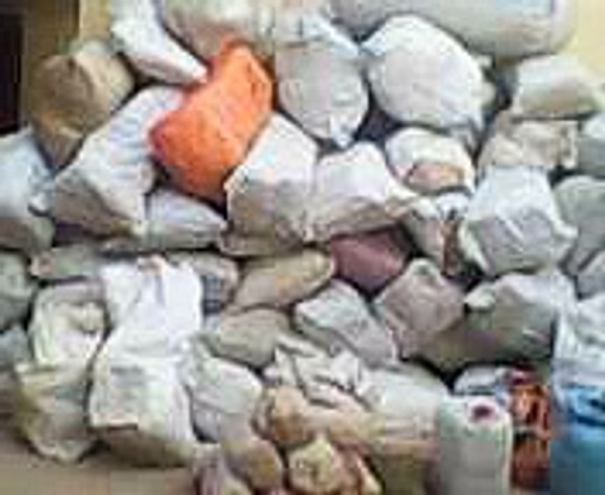 Opération coup point de l'Armée Sénégalaise dans le nord Sindian, la culture illicite est désormais dans le rétroviseur des autorités