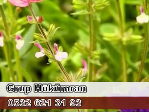 ISPARTA SEMAZEN EKİBİ @ İLAHİ GRUBU HÜKÜMRAN İLAHİ EKİPLERİ