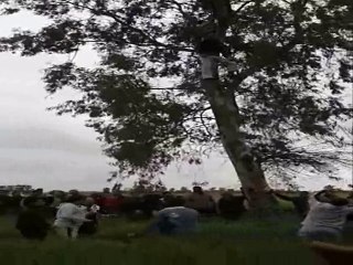 فيديو صادم لانتحار شاب شنقا على شجرة بالدقهلية