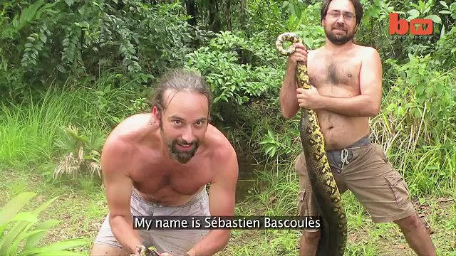 Giant Anaconda Captured