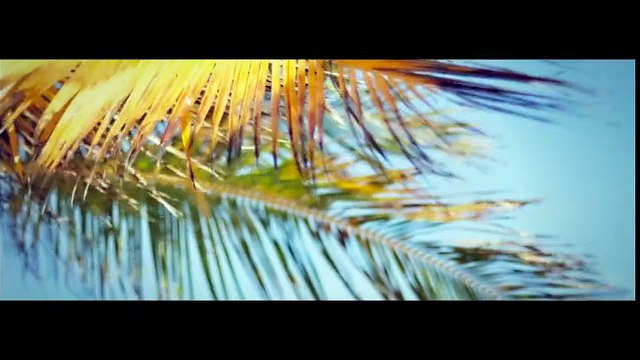 Darius & Finlay - Tropicali