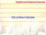 Kingfishers and Kookaburras Screensaver Keygen (Legit Download)