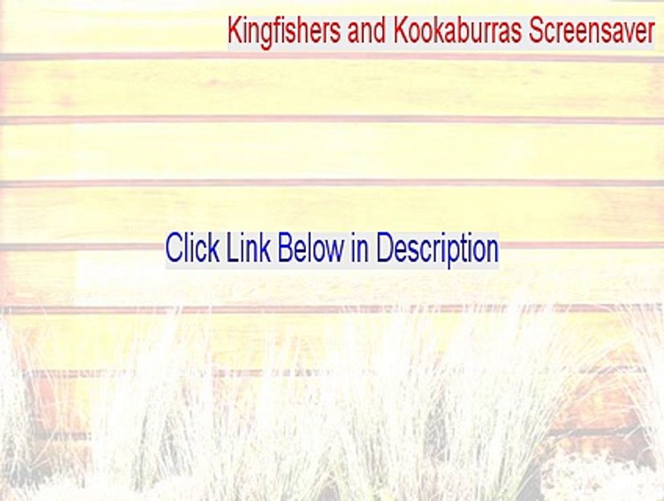 Kingfishers and Kookaburras Screensaver Keygen (Legit Download)