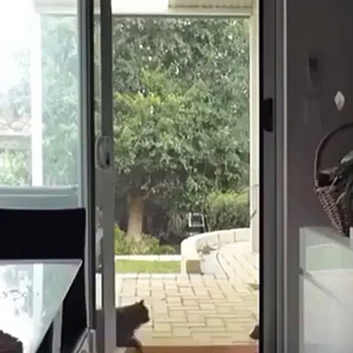 Crazy X's be like...
