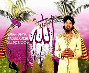 Mairee Jholee  mai rahtay hain naat by Adeel Ahmed Qadri Qalandari