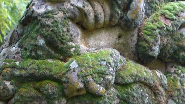 Jardin La Parmélie, une pierre tout à fait extraordinaire! n° Ami des Jardins de janvier p 21 (video Patrick Smith)