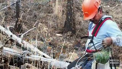 Warranty Solutions®, a Wells Fargo Business, Donates a Million Trees