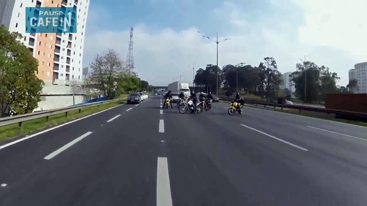 Ces motards bloquent l'autoroute pour sauver ce chien apeuré