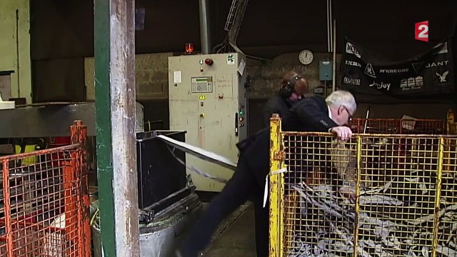 Recyclage : la nouvelle vie des déchets plastiques