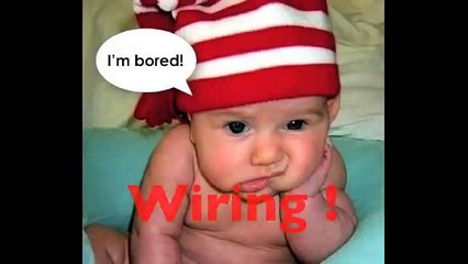 Bonsai Wiring - Not For Dummies.