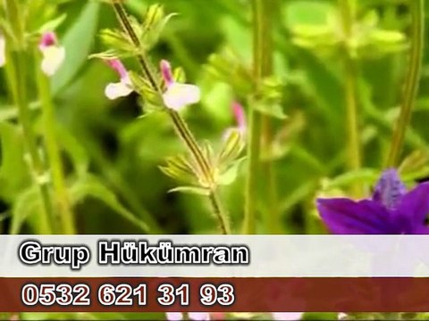 Denizli İLAHİ GRUBU @ SEMAZEN EKİBİ 0542 480 2550 (ÖZEL İSLAMİ DÜĞÜN*)