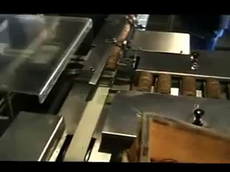 Family Pack BISCUIT PACKING MACHINE..benzler machinery products