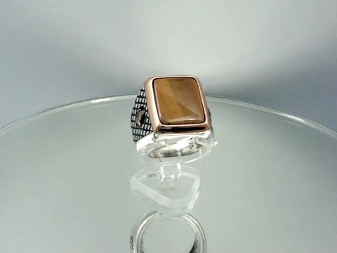 Kaplang?z? Ta?l? Tu?ral? G?m?? Y?z?k