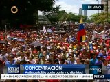 Villegas: Venezuela más nunca volverá a ser una nación “a secas”, siempre será Bolivariana