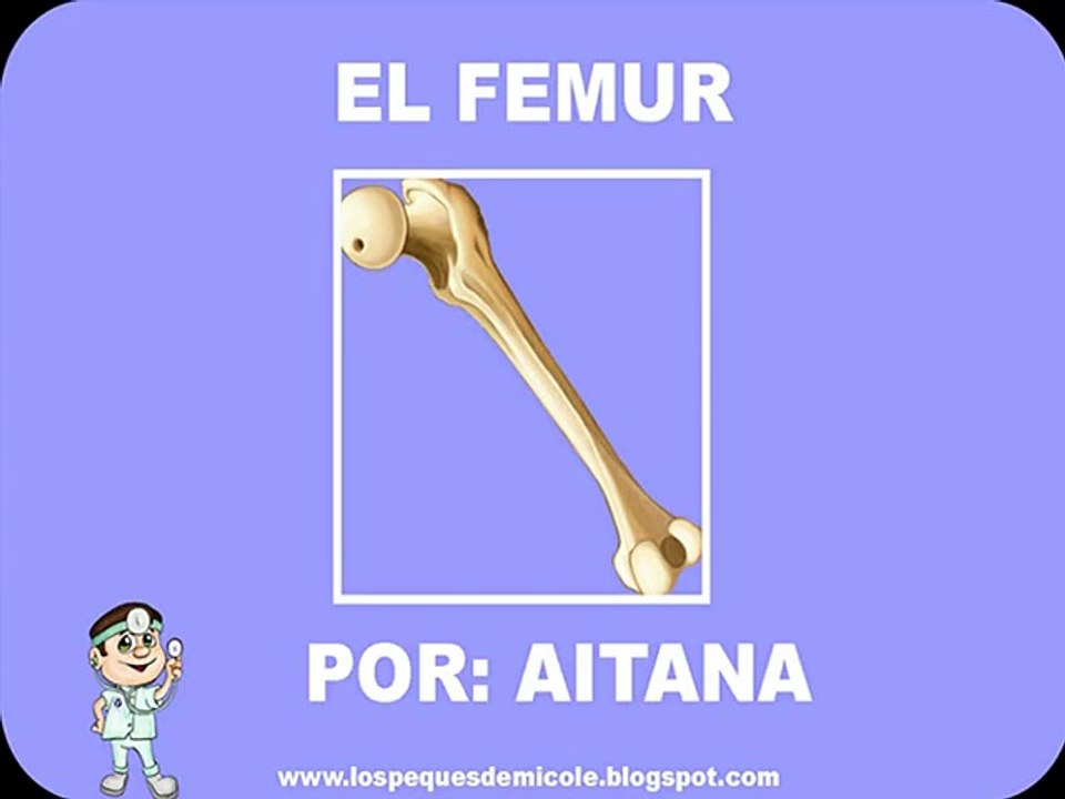 EL FEMUR