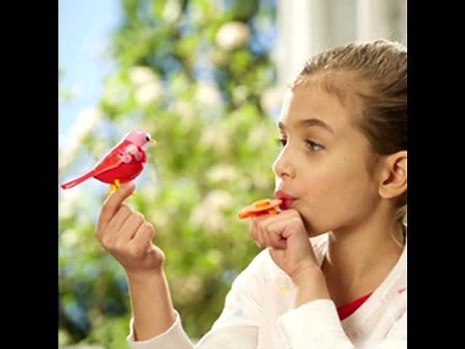 Digi Birds Singing Tweet Solo Choir Voice Music Electric Toys