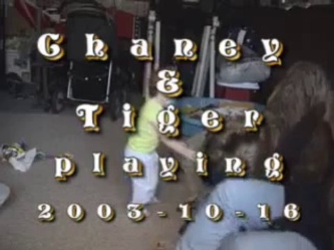 baby and dog - playing wth dog - What a fun