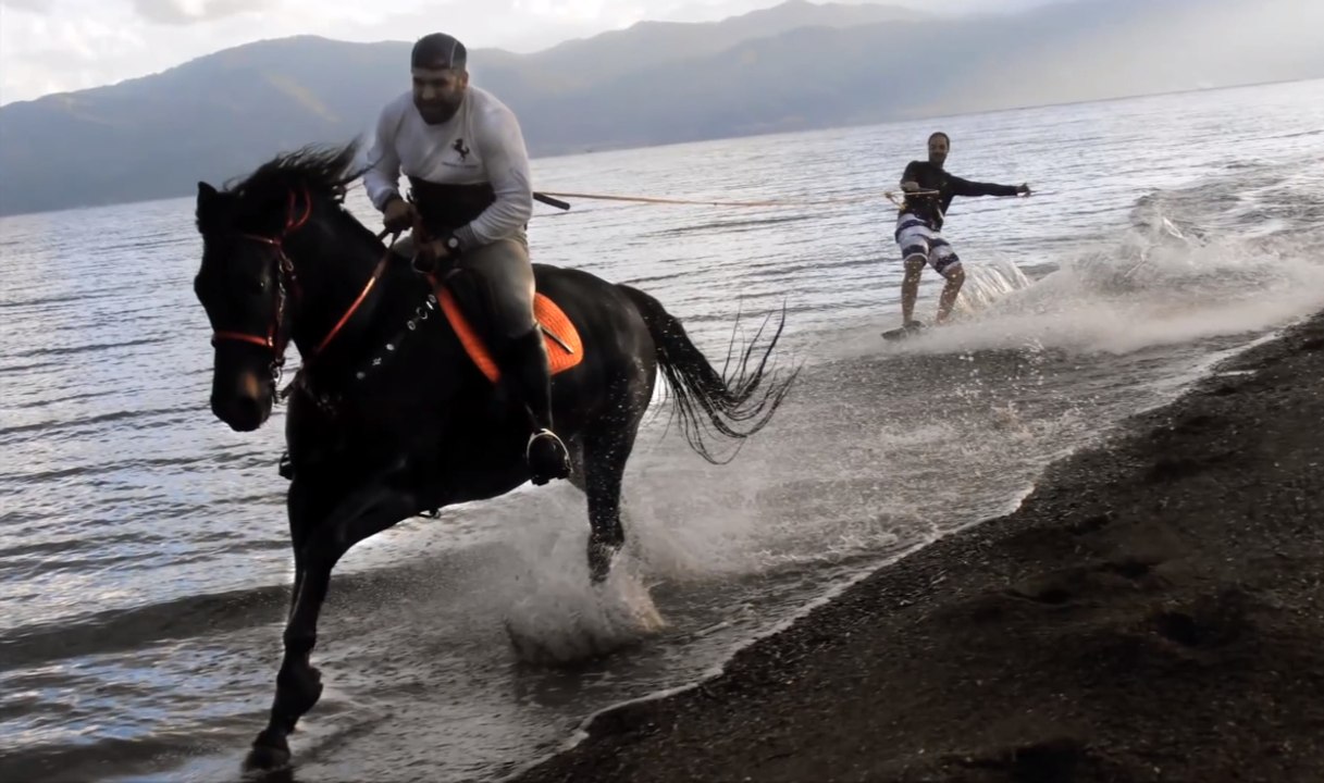 horse surfing greece HD