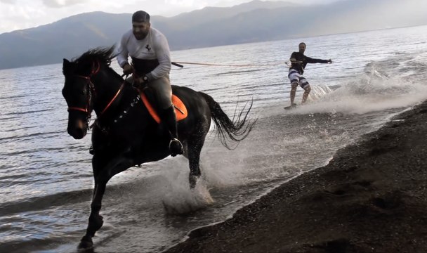 horse surfing greece HD