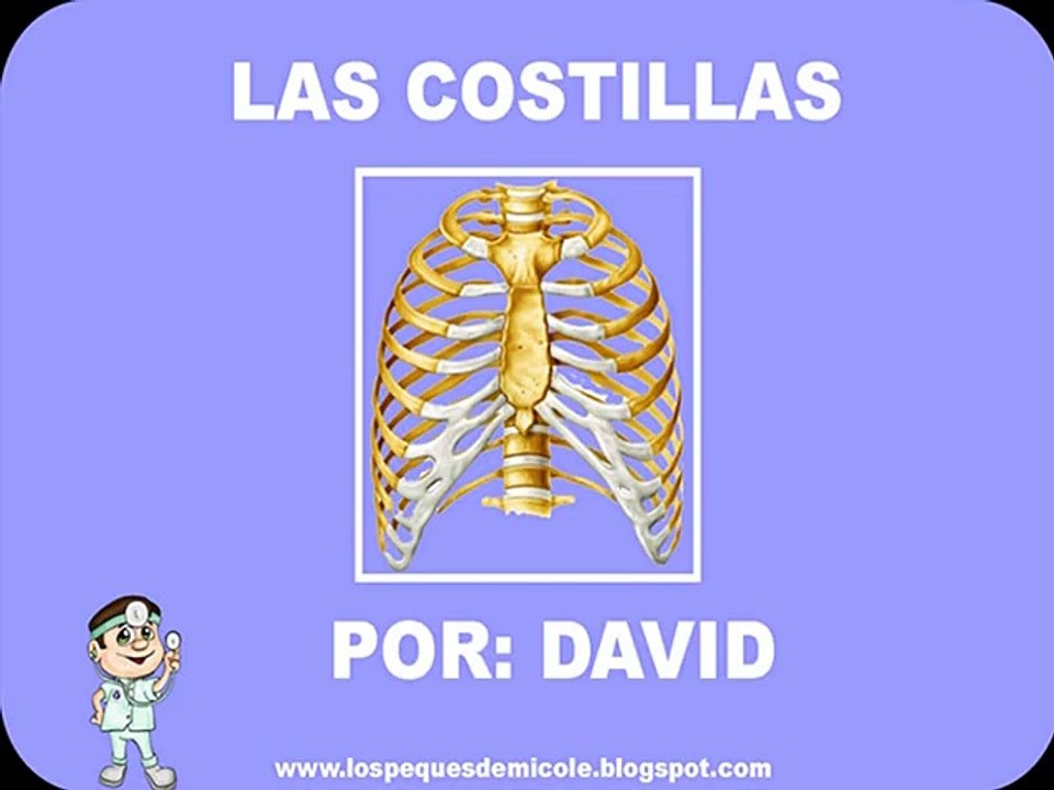 LAS COSTILLAS