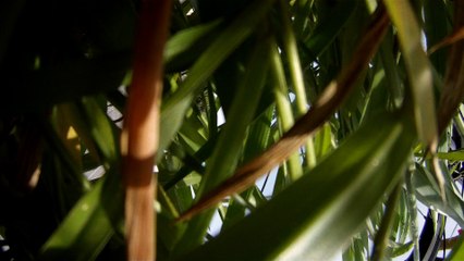 Treino Speed x bike triátlon, 65 km, Taubaté, Quiririm, Tremembé, SP, Brasil, (31)