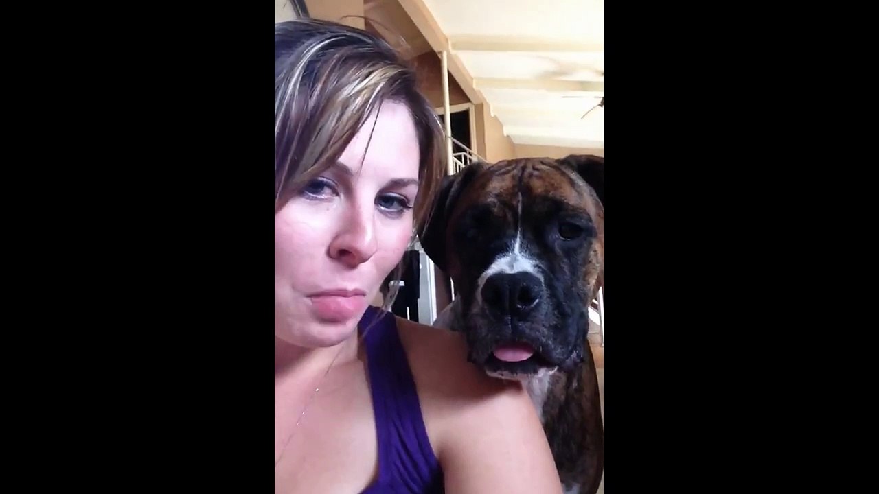 Impressionnant Tongues animaux: Compilation / Awesome Animal Tongues: Compilation