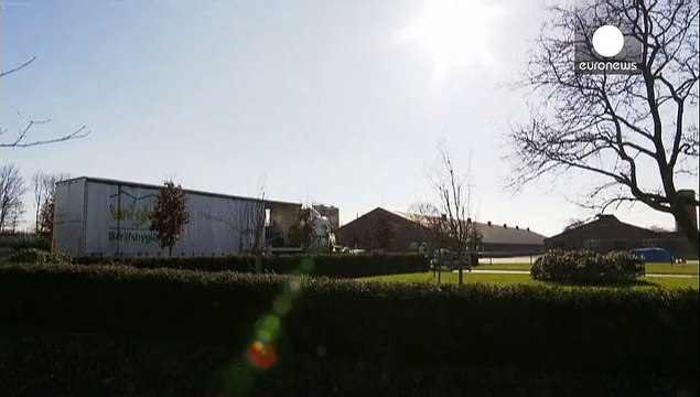 Hollanda’da kuş gribi nedeniyle 30 bin kümes hayvanı itlaf edildi