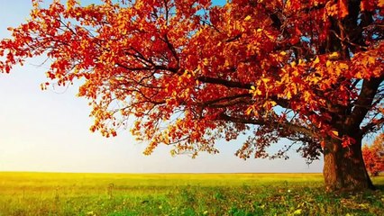 Méditation guidée vieux manteaux: version avec coupures :s