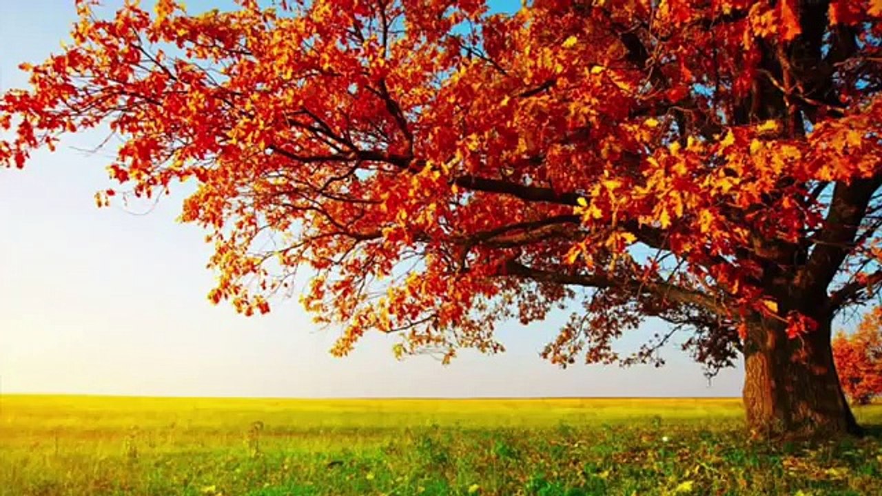 Méditation guidée vieux manteaux: version avec coupures :s