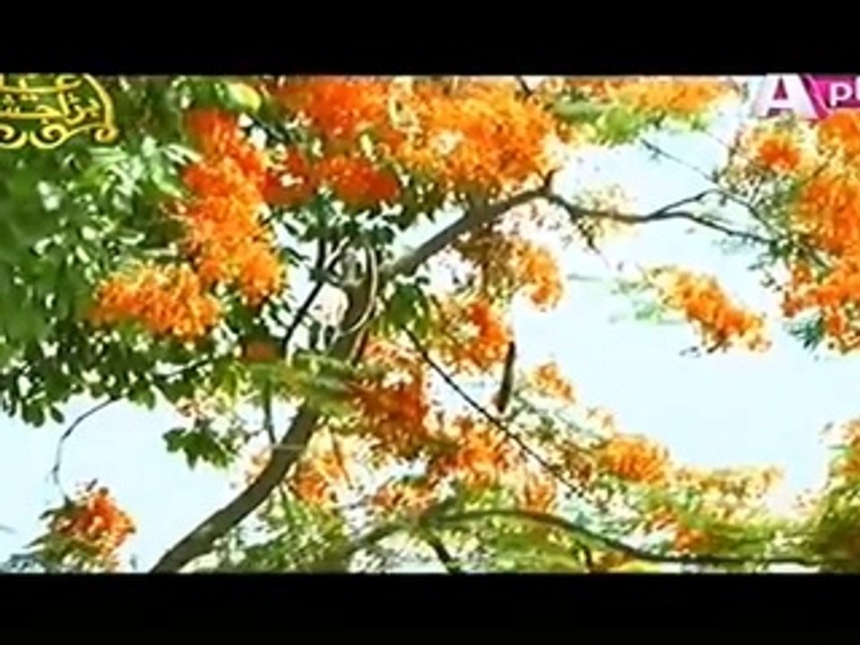 Kaneez Episode 11 - APLUS