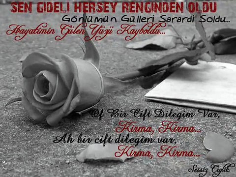 Ibrahim Erkal - Onu Benim Gibi Sevme