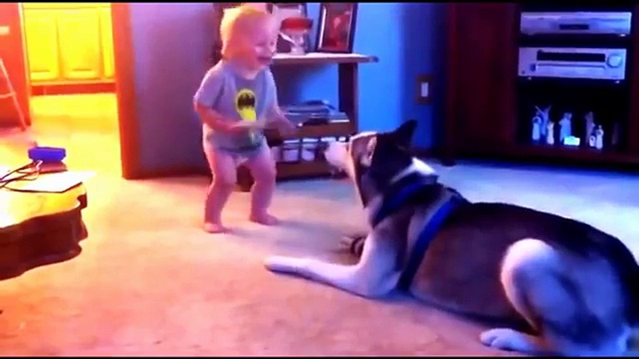 Binatang binatang yang lucu