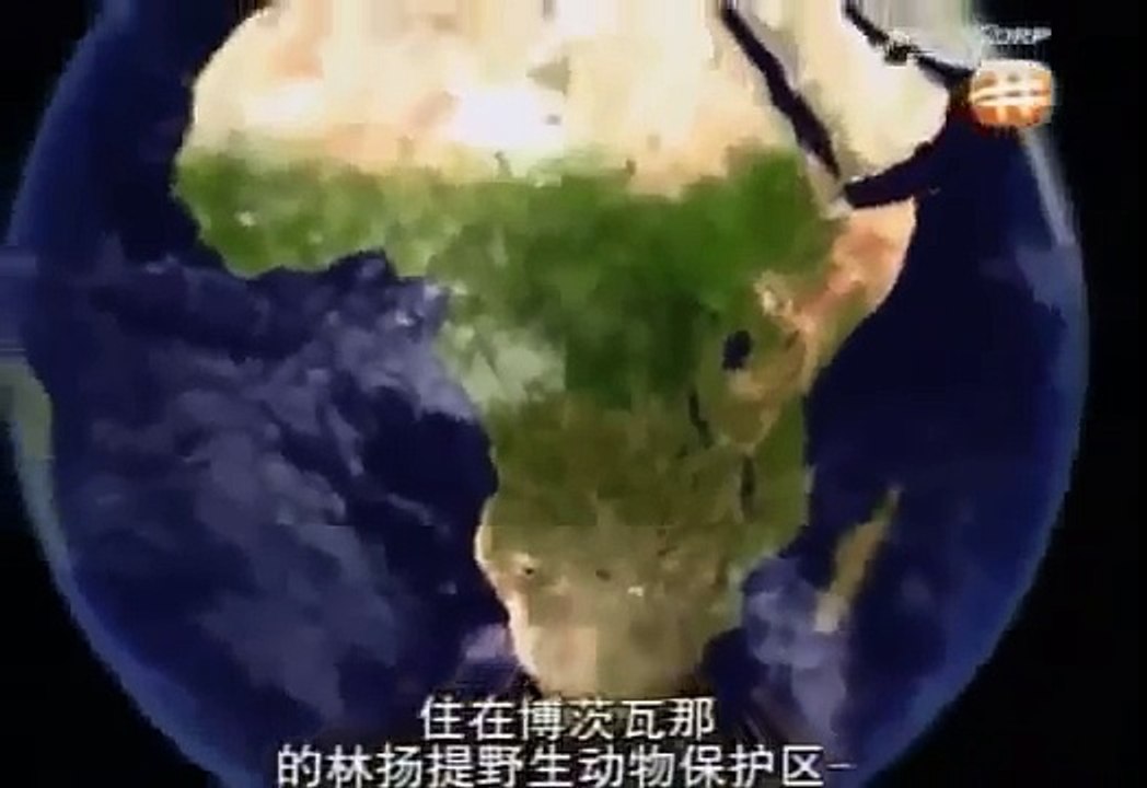 Discovery BBC documentary animals 2015 Wildlife Specials Discovery Animals Nature documentary