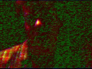 Joe Swanberg on his film Alexander the Last Sidewalk Film festival