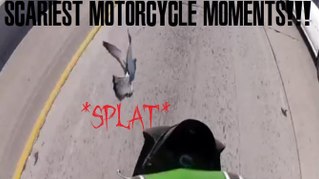 My Most SCARIEST Motorcycle Moments + R.I.P. PIGEON