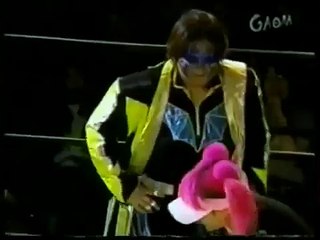 The Misadventures of Sakura Hirota