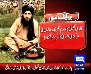 2 key Taliban commanders killed in Afghanistan