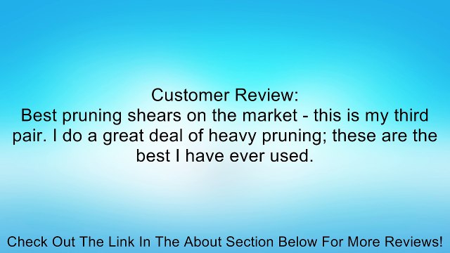 Shark Corporation 62-5317 Heavy Duty Pruning Shears Review