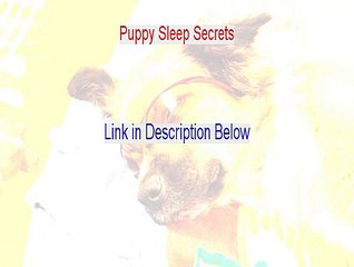 Puppy Sleep Secrets Download [Instant Download]