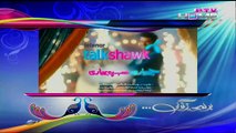 Googly Mohalla Worldcup Special Episode 20 Full 12 March 2015 Ptv Home Drama