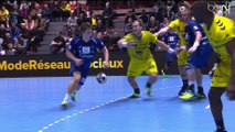 Résumé de Tremblay - Montpellier (28-33) - LNH D1 2014-2015 J18