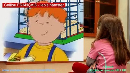 Caillou FRANÇAIS - leo's hamster