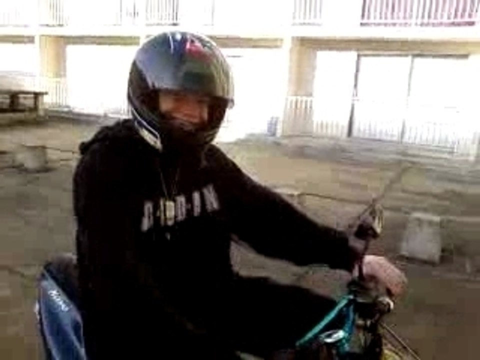 mongol