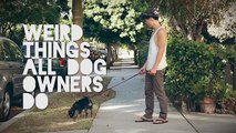 Weird Things All Dog Owners Do