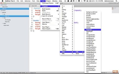 html and CSS-Day-28-How-to-Create-Snippets